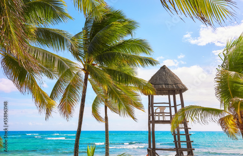 Coconut palm trees and a lifeguard tower on a Caribbean beach, Mexico.