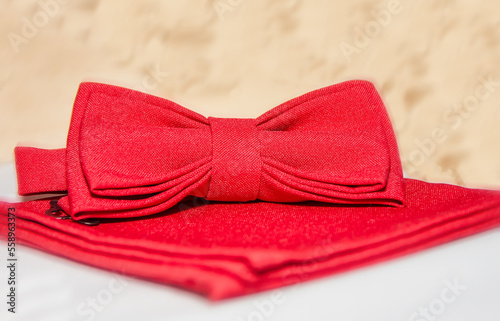 Handsome men's set of red bow tie and scarf on a light background.