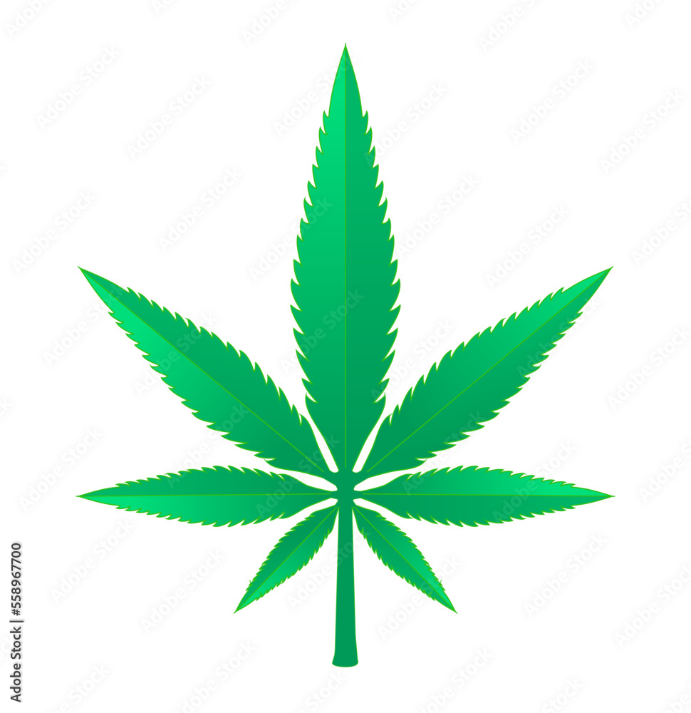 Realistic Green Marijuana Isolated Medicinal Herbal Vector Illustration Realistic Green Marijuana Isolated Medicinal Herbal Vector Illustration
