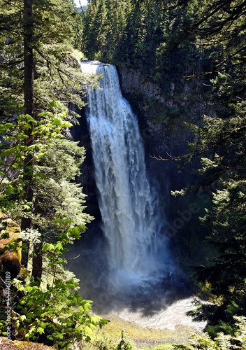 Salt Creek waterfall in the Columbia River Gorge Scenic Area  Oregon  USA