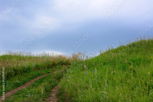 country road going up the hill covered with green grass with cloudy sky on background