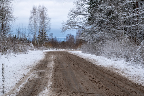 snow mixed with mud on local forest road