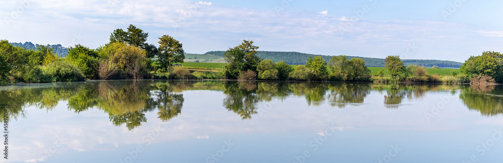 Summer landscape, panorama, with river and trees reflected in river water