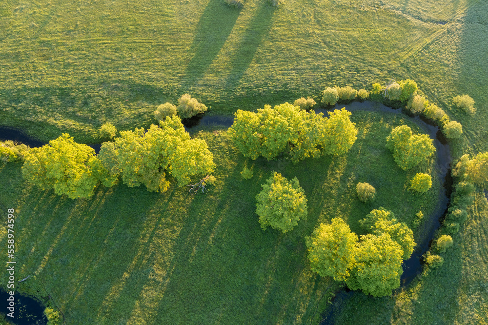 Forest in summer colors. Green deciduous trees and winding blue river in sunset. Soomaa wooded meadow, Estonia, Europe