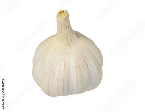One whole natural garlic isolated on white background