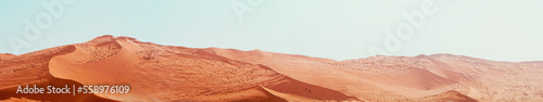 Nature background with red dunes in Namib desert at sunrise, Sossuvlei valley. Namibia landscape with big sandy dune and copy space for horizontal web banner.