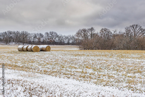 A group of large round bales in a hay field on a stormy day with a dusting of snow.