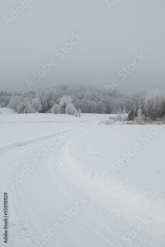 Snowy winter road to the frosty forest covered hill in fog and mist
