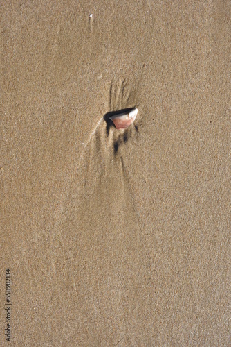 Background created from the sand on the beach.