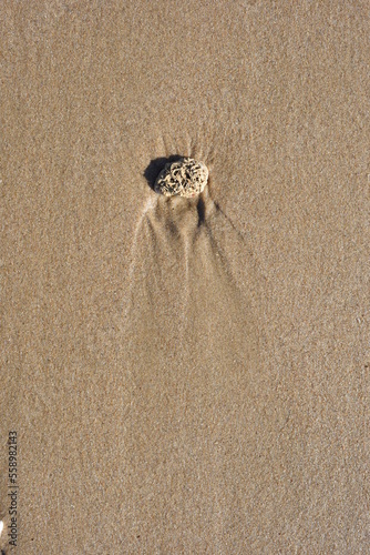 Background created from the sand on the beach.