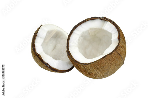Coco white. Coconut slice. Coconut pieces isolated. Coconuts half on white.