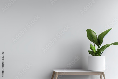 Green House Plant on a Tabl...