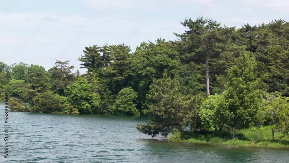 水辺の森 森林公園 水辺の森 森林公園
