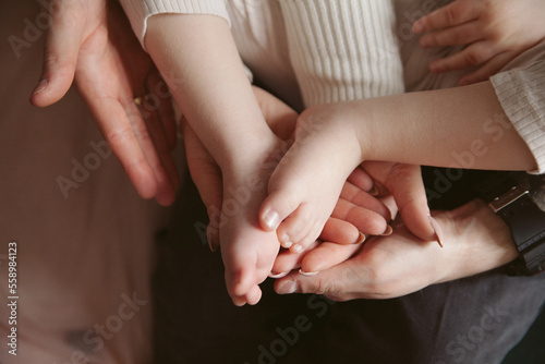 hands of the bride and groom