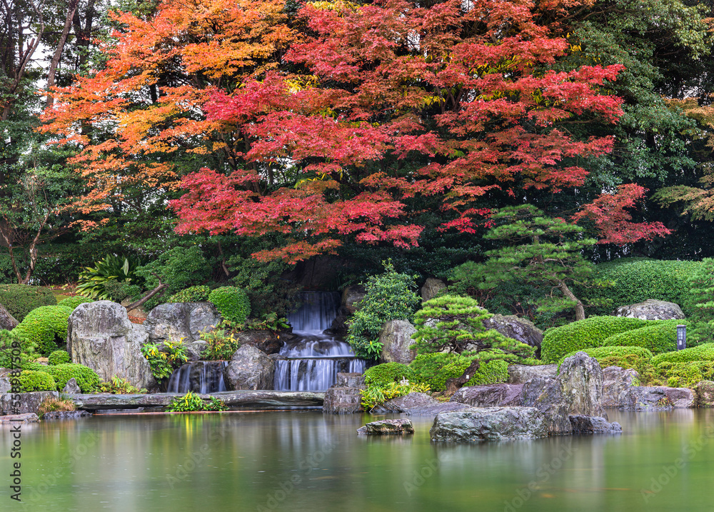 fukuoka, kyushu - december 07 2022: Beautiful autumn landscape with red momiji maple trees in rain overlooking the Sandan-Ochi-no-Taki Waterfall in the Ue-no-Ike pond of the Japanese Ohori garden.