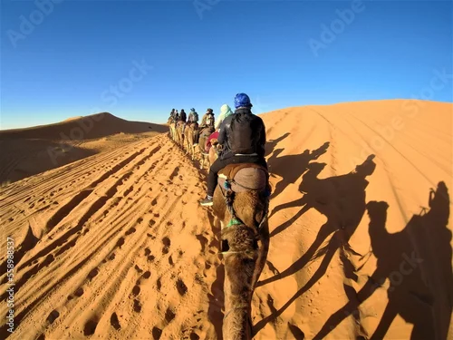 Fototapeta samoprzylepna Merzouga, Maroko, wielbłądy na pustyni, karawana