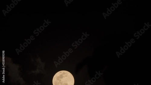 Rising bright full moon and clouds with leaves foreground time-lapse