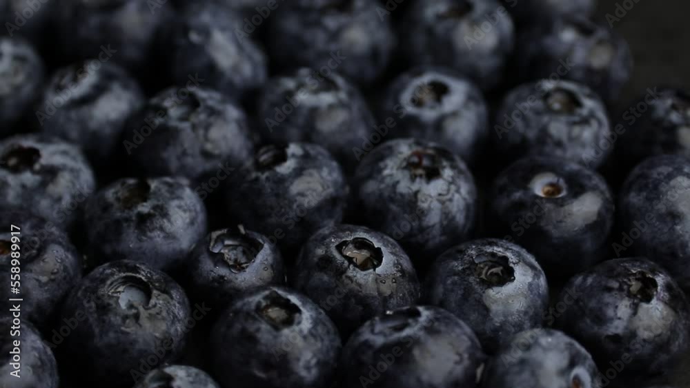 blueberries in a bowl blueberries in a bowl