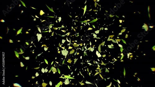 Leaf explosion flying in to camera with 3d animation.Floating leaf 3d rendering include alpha matte.