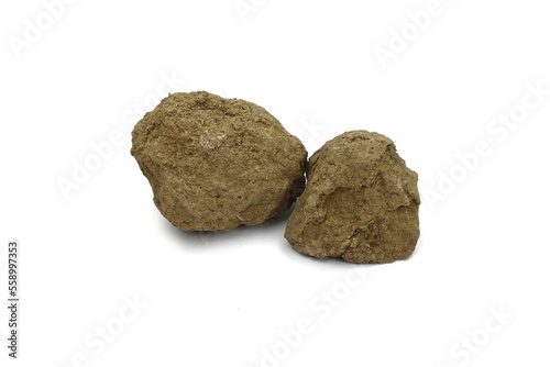 a clod of earth isolated on white background.