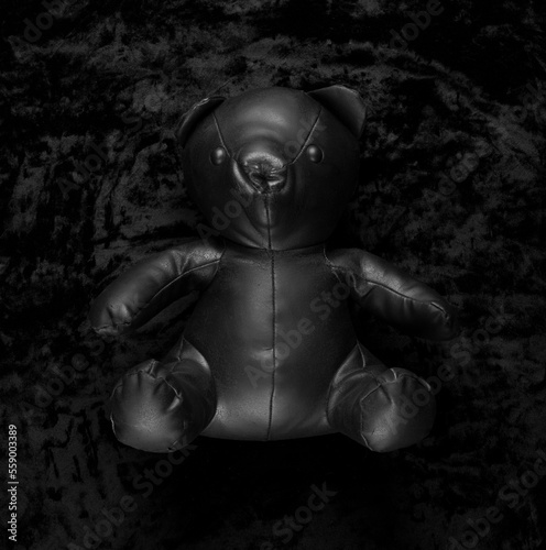 black teddy bear on black velvet