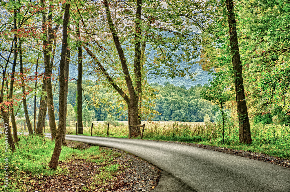 Fototapeta premium Rainy Day Quiet in Cades Cove