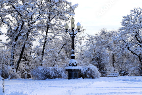 winter park landscape, trees covered with snow, with lantern, winter street, Ukraine