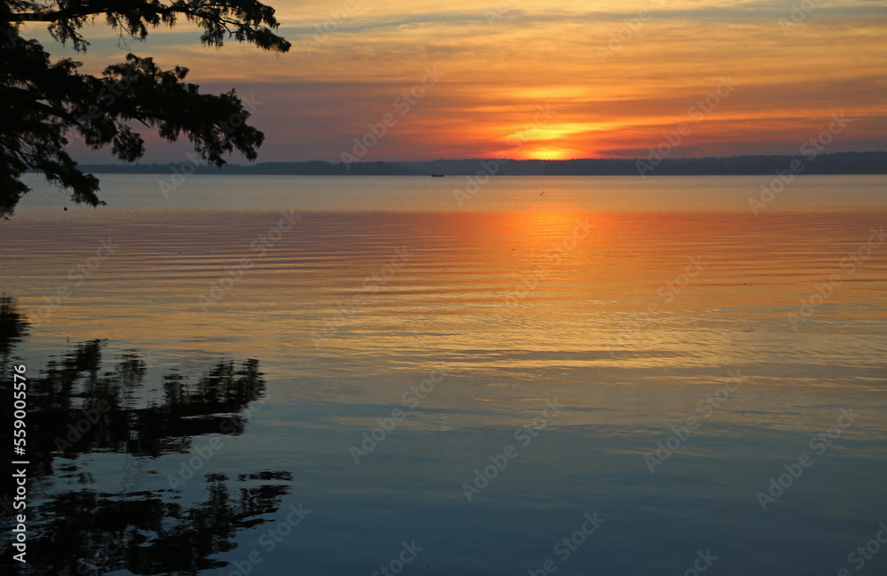 Burning sunrise - Reelfoot Lake State Park, Tennessee