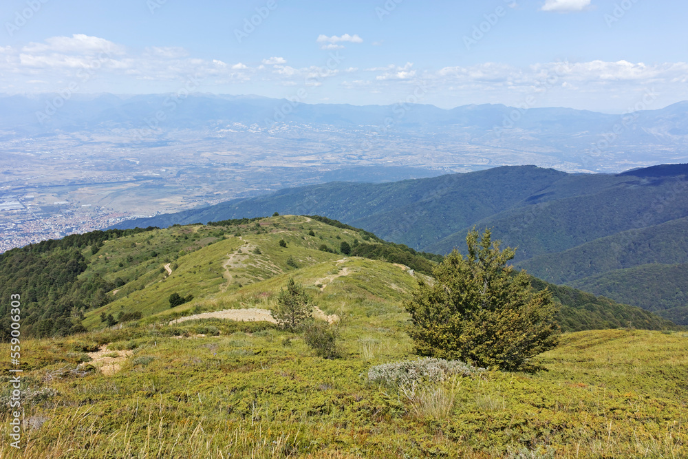 Naklejka premium Summer landscape of Belasitsa Mountain, Bulgaria