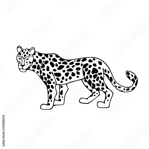 Fototapeta Naklejka Na Ścianę i Meble -  Linear sketch of a wild feline, cheetah. Vector graphics.