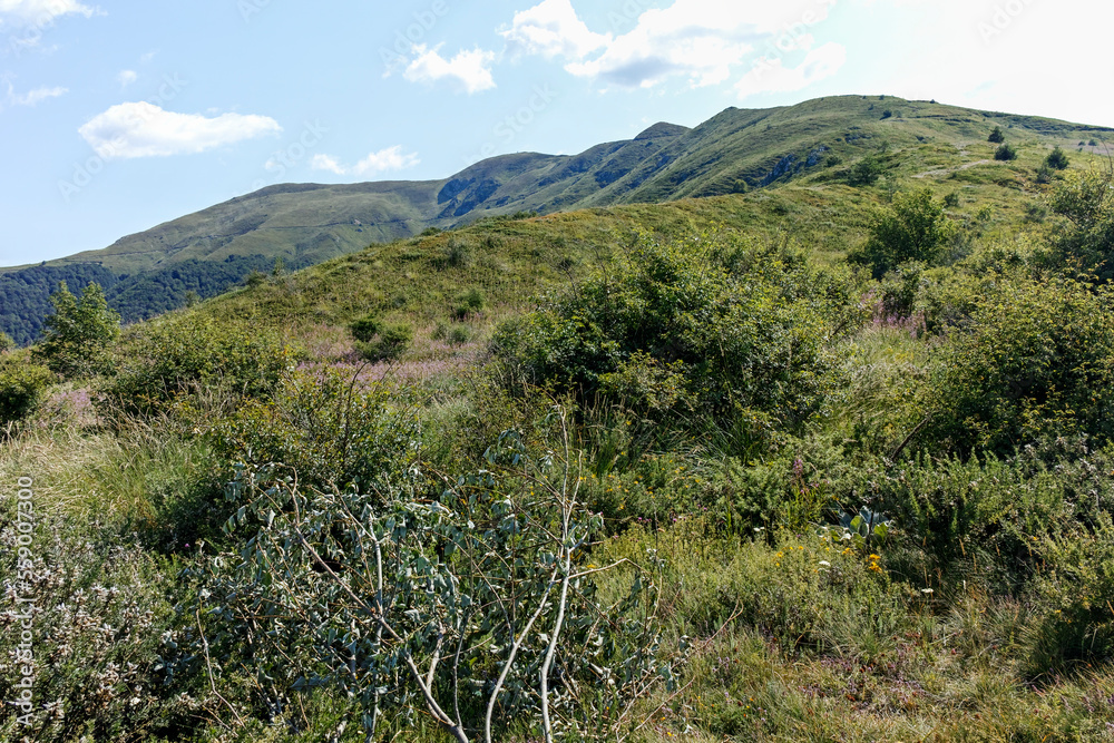 Naklejka premium Summer landscape of Belasitsa Mountain, Bulgaria