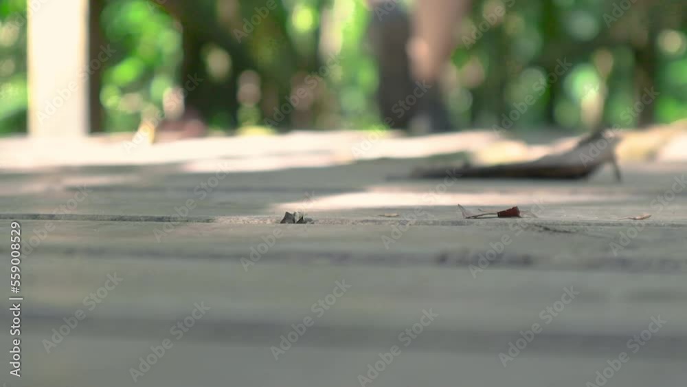 Pies de mujer caminan sobre suelo de madera sendero tutunendo Pies de mujer caminan sobre suelo de madera sendero tutunendo
