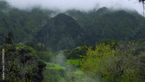 Açores Natureza