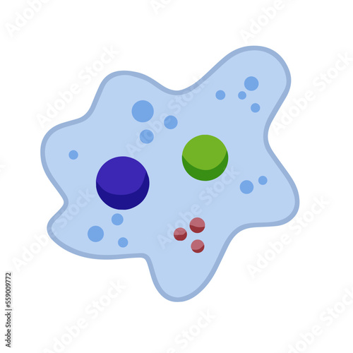 Amoeba cell. Small unicellular animal photo