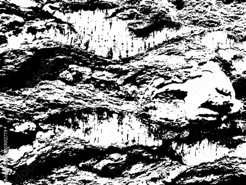 Birch bark texture