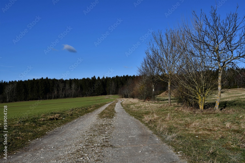 Verlauf der römischen Ausoniusstrasse / Römerstrasse - heute Feldweg bei Morbach im Hunsrück Verlauf der römischen Ausoniusstrasse / Römerstrasse - heute Feldweg bei Morbach im Hunsrück
