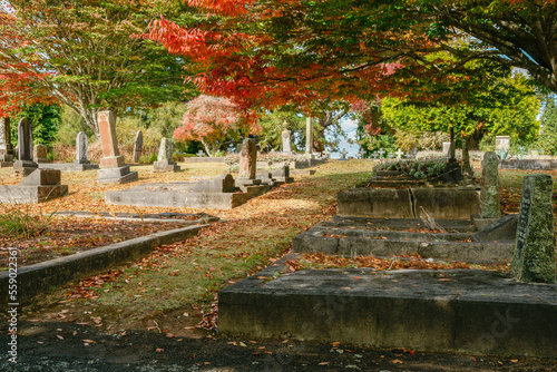 Old graveyard with headstones under trees