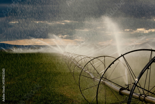 Sprinklers use water from the Klamath river to irrigate fertile cropland.
