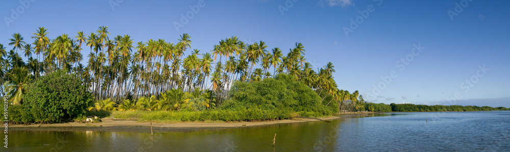 A view from the water of Kiowea Park and the Kapuaiwa Coconut Grove, Molokai, Hawaii. A view from the water of Kiowea Park and the Kapuaiwa Coconut Grove, Molokai, Hawaii.