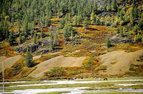 Hiking accross the Atlai Mountains, Tavanbogd National Park, Mongolia. photo