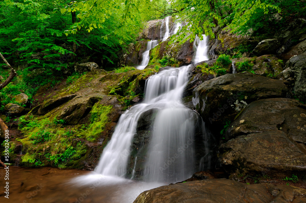 Shenandoah National Park. Shenandoah National Park.