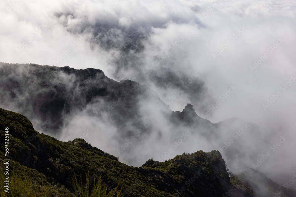 Epic atmosphere with gloomy fog over the forests of Madeira.