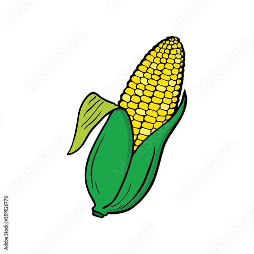 Corn hand drawn vector illustration. Cartoon corn. Corn isolated.