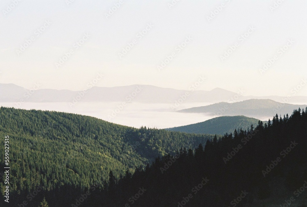 Fototapeta premium morning in the mountains