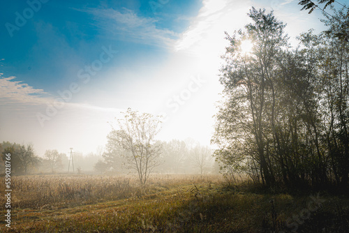 Fototapeta Naklejka Na Ścianę i Meble -  mgła