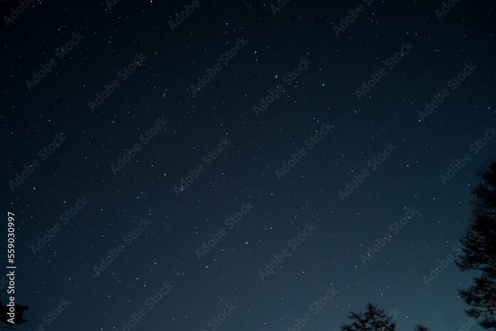 12月の日本から見る、冬の星空 12月の日本から見る、冬の星空