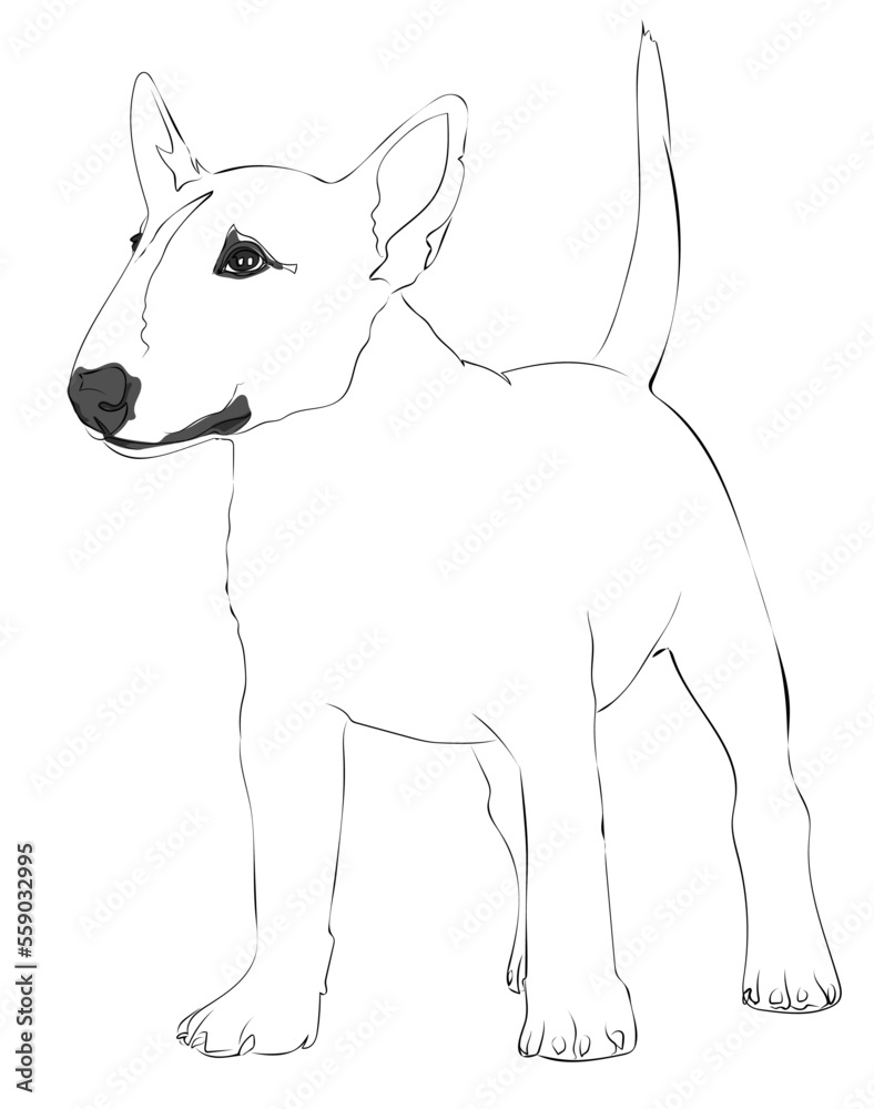 Bull Terrier dog rendered in brush strokes