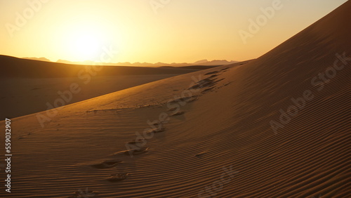 Fototapeta Naklejka Na Ścianę i Meble -  Sunset just above the orange sandy dunes of the western Sahara near the settlement of Merzouga, Morocco.