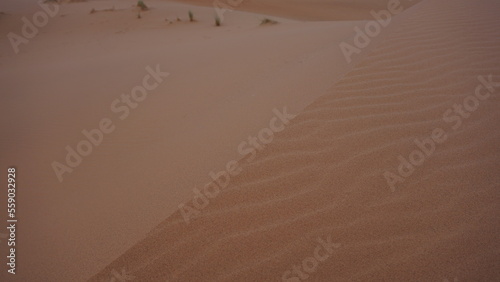 Sand ripples on a moroccan Sahara erg  near the settlement of Merzouga.