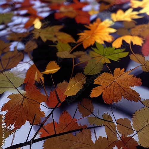 fall leaves 2